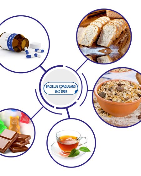 Bacillus Coagulans usage in Food